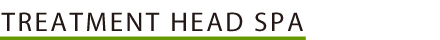 TREATMENT HEAD SPA